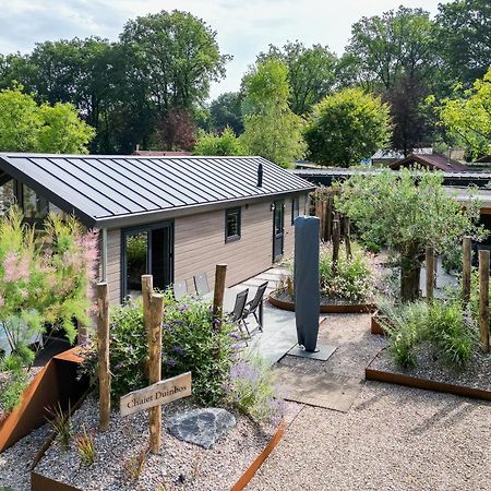 Modern Ingericht Chalet Op Groen Park Op De Veluwe エーペ エクステリア 写真