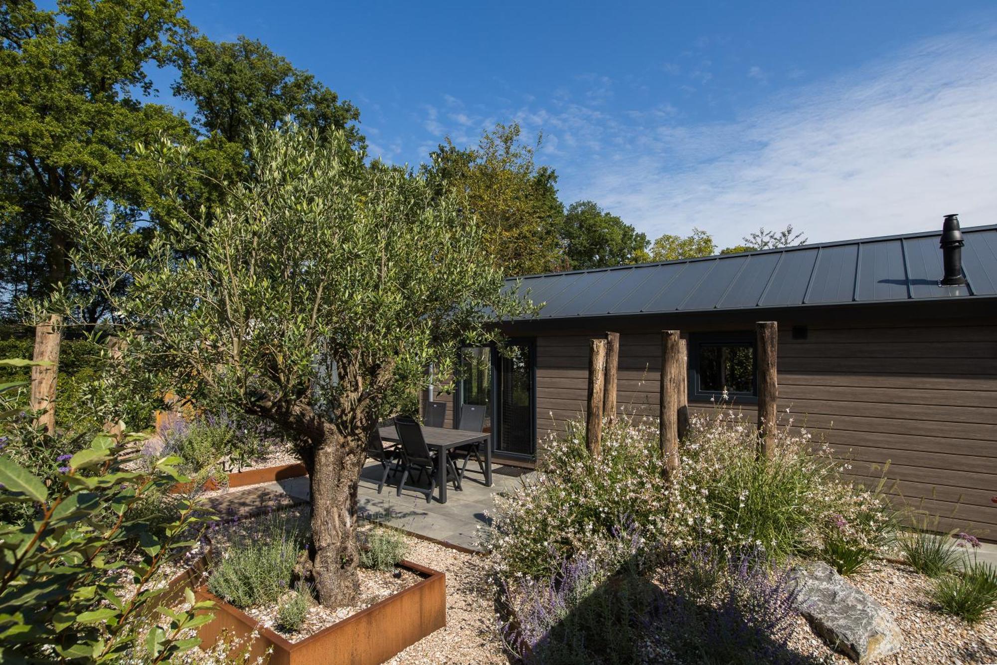 Modern Ingericht Chalet Op Groen Park Op De Veluwe エーペ エクステリア 写真