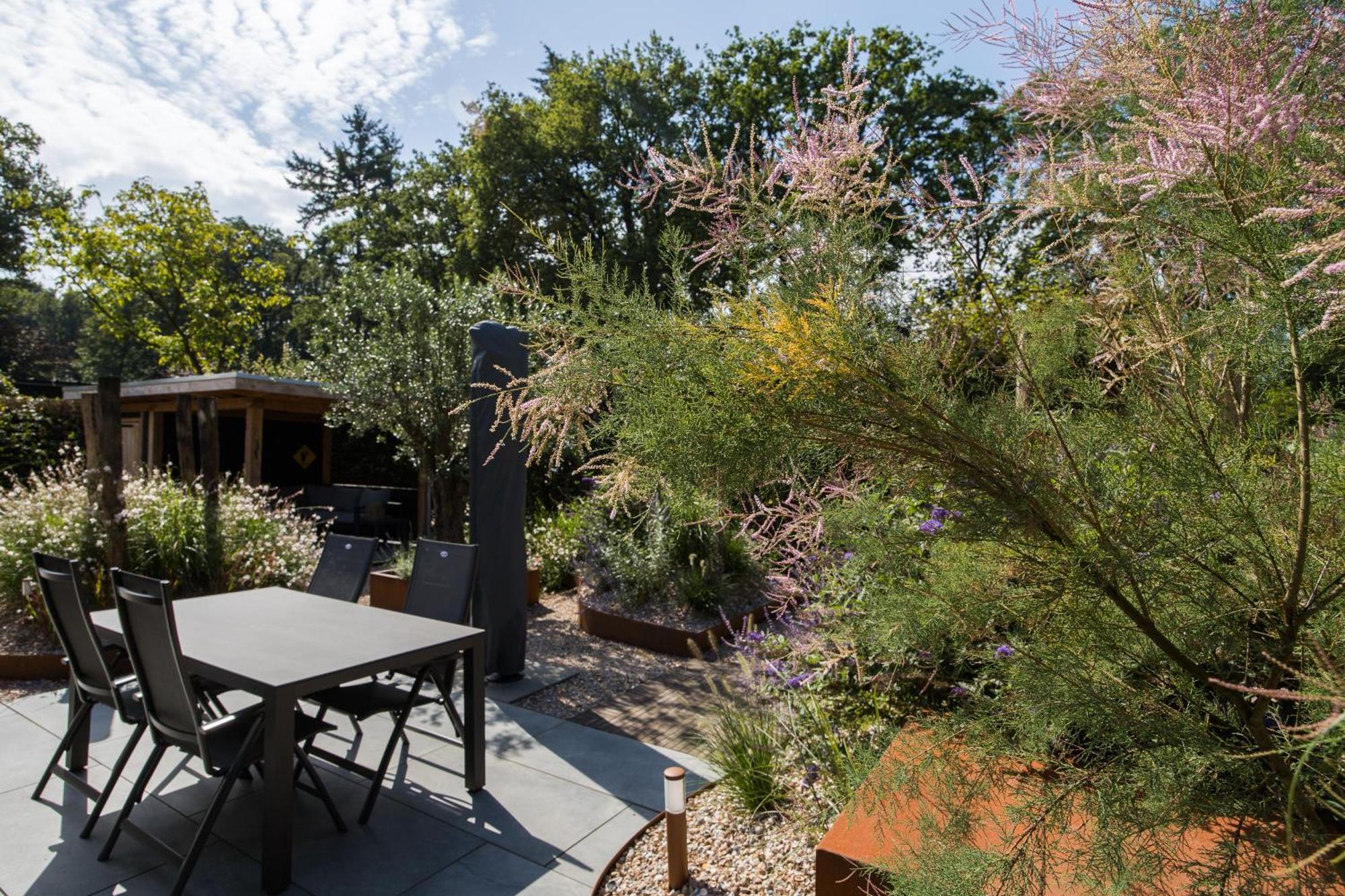 Modern Ingericht Chalet Op Groen Park Op De Veluwe エーペ エクステリア 写真