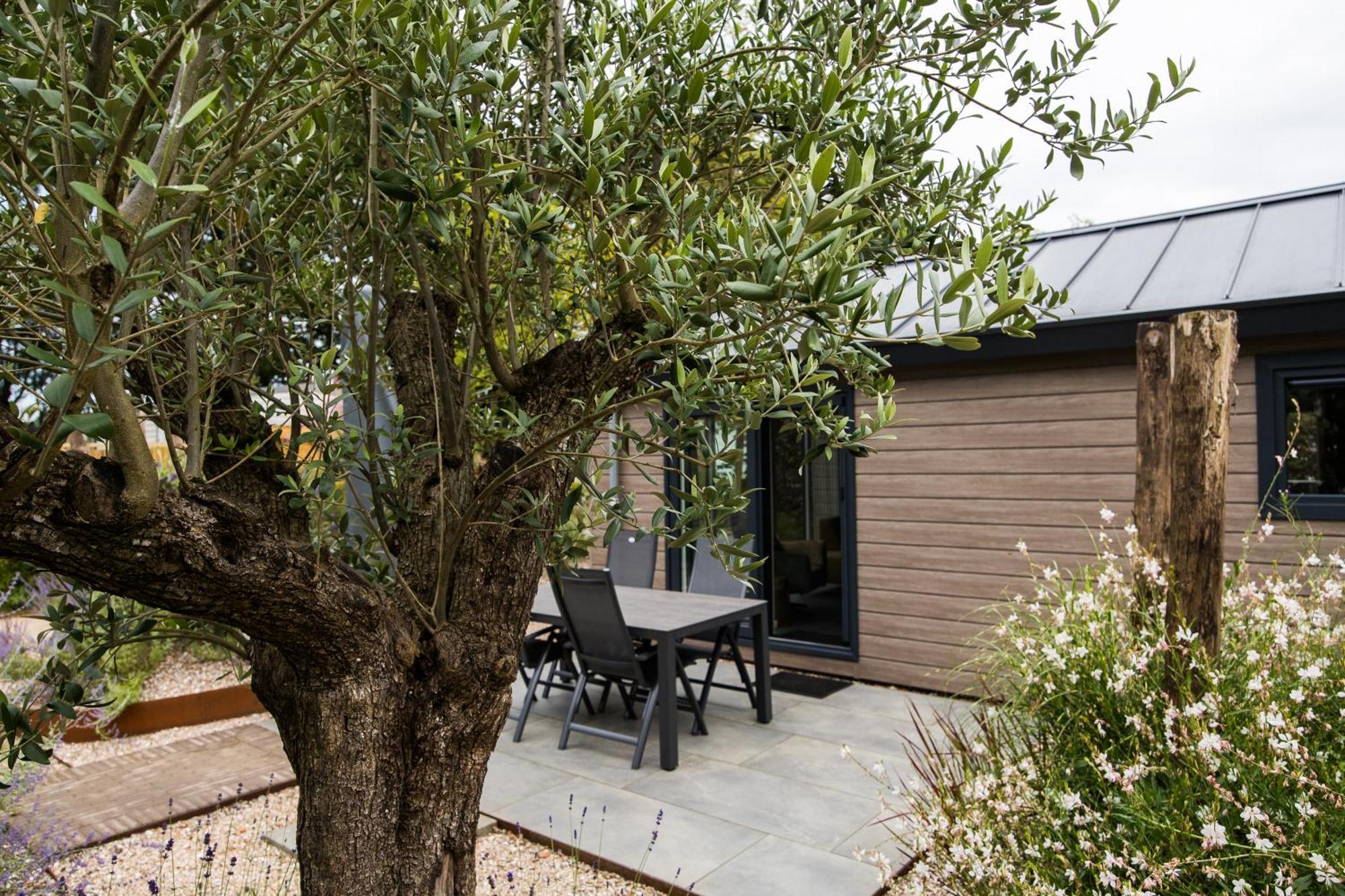 Modern Ingericht Chalet Op Groen Park Op De Veluwe エーペ エクステリア 写真