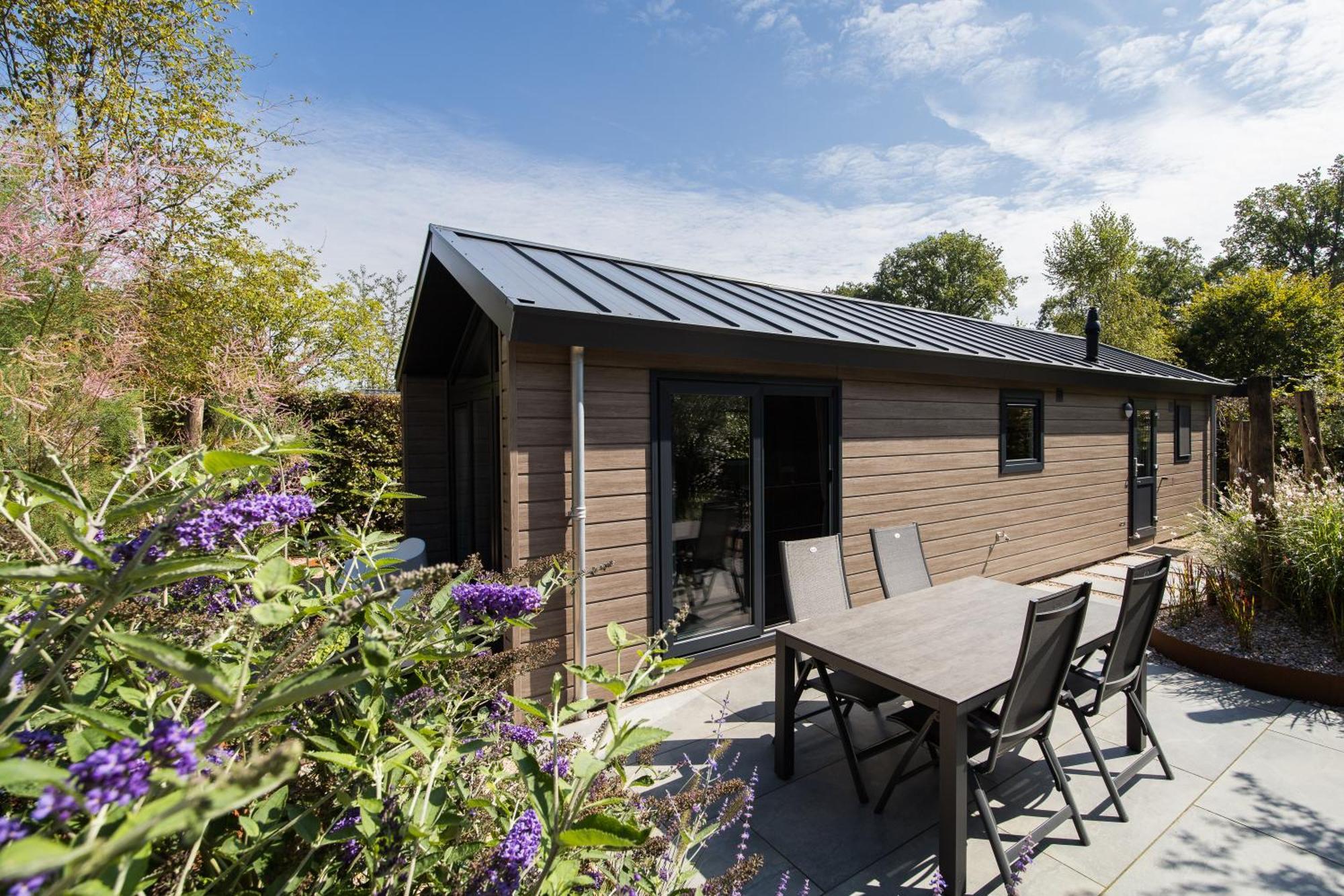 Modern Ingericht Chalet Op Groen Park Op De Veluwe エーペ エクステリア 写真