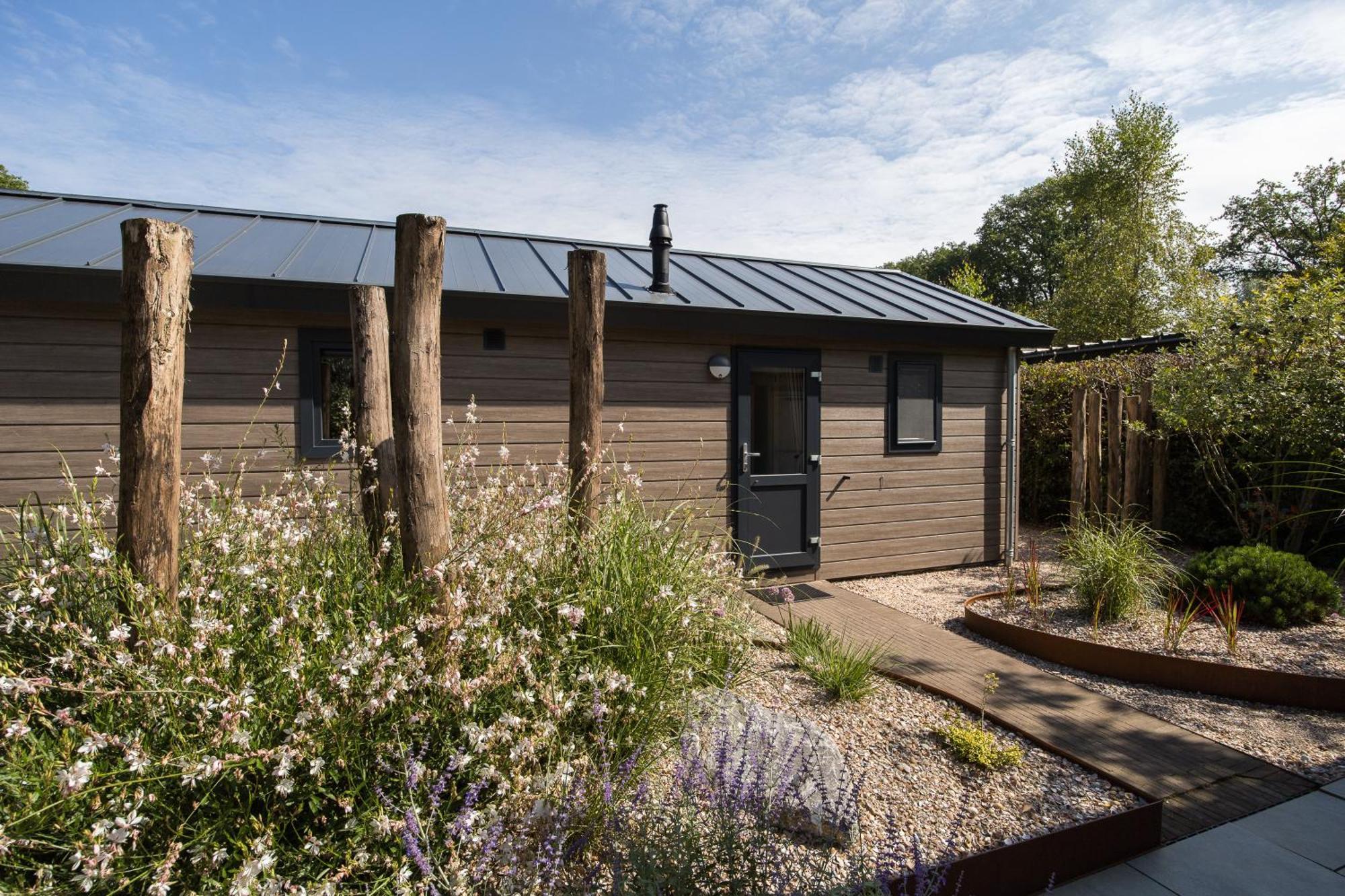 Modern Ingericht Chalet Op Groen Park Op De Veluwe エーペ エクステリア 写真