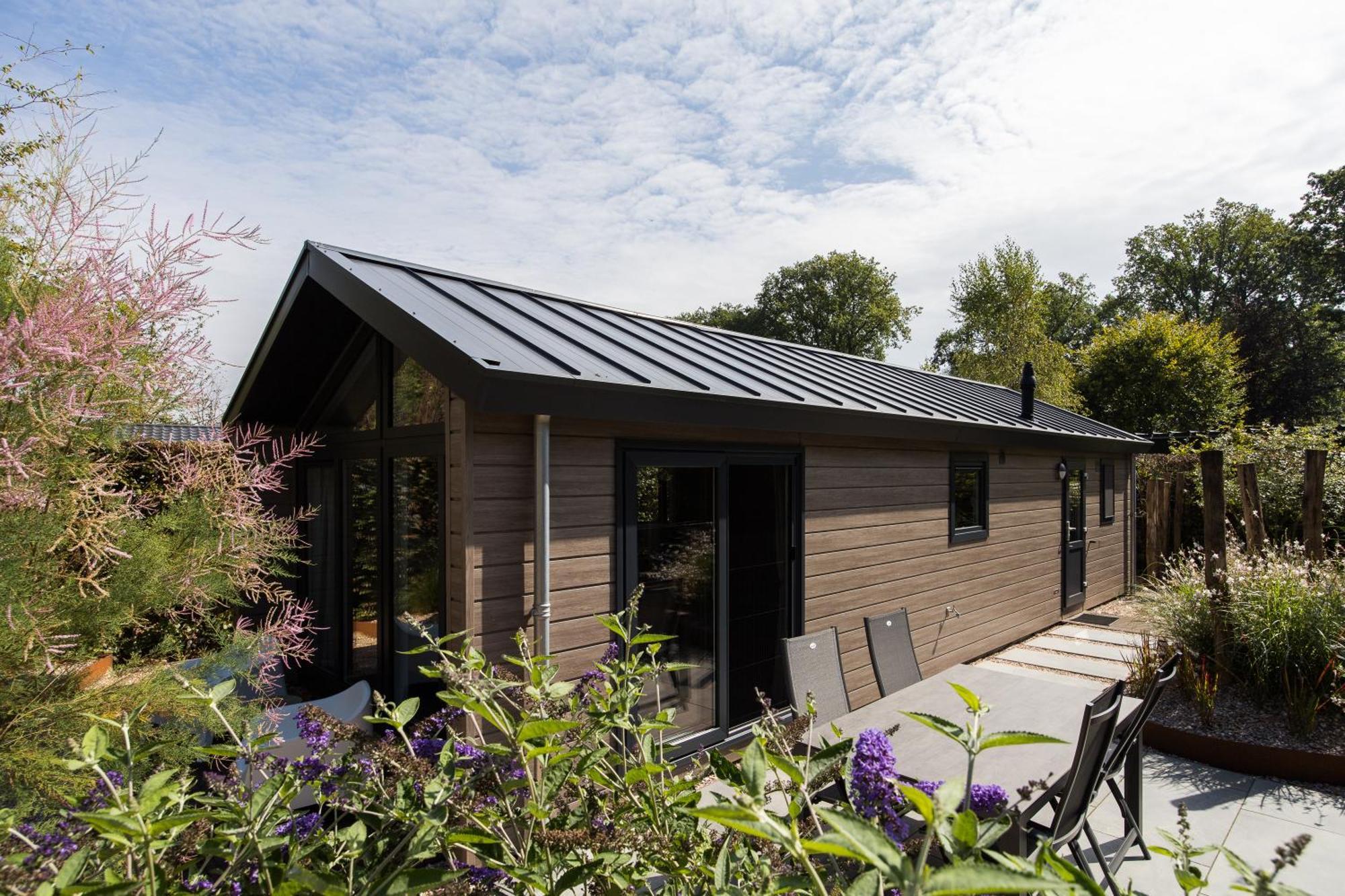 Modern Ingericht Chalet Op Groen Park Op De Veluwe エーペ エクステリア 写真
