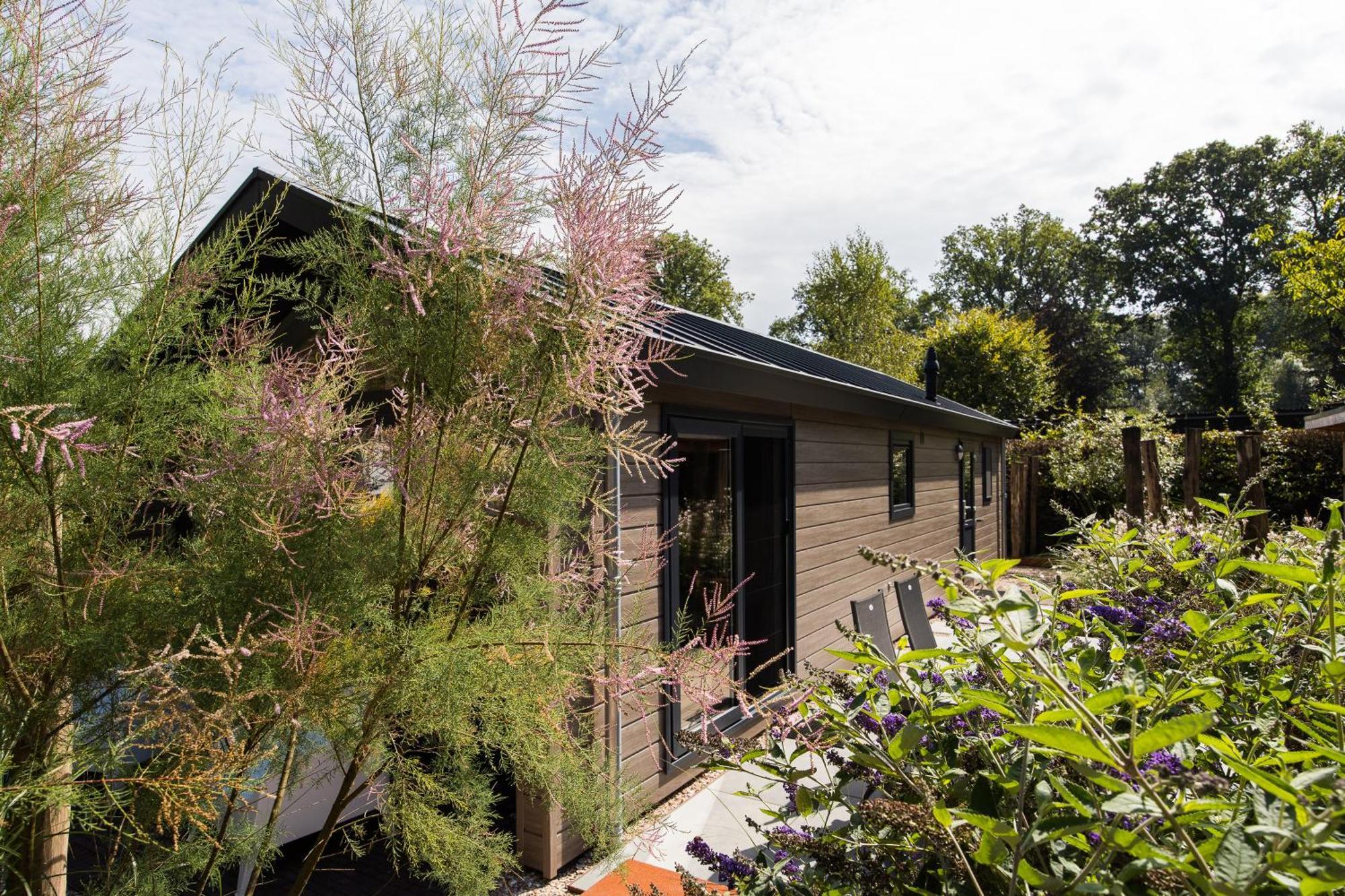 Modern Ingericht Chalet Op Groen Park Op De Veluwe エーペ エクステリア 写真