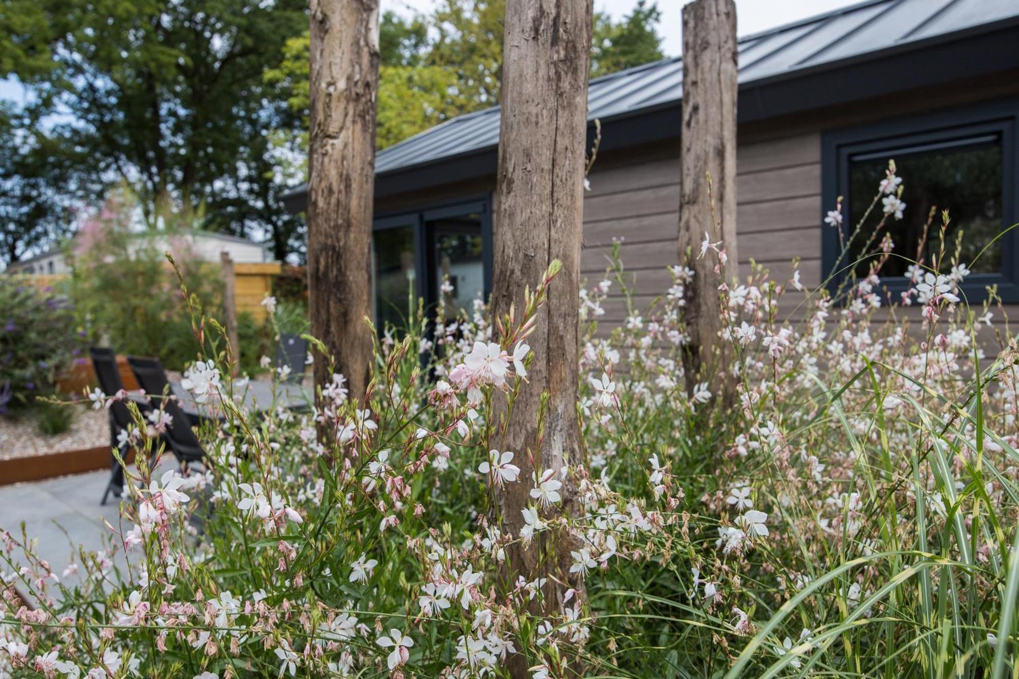 Modern Ingericht Chalet Op Groen Park Op De Veluwe エーペ エクステリア 写真
